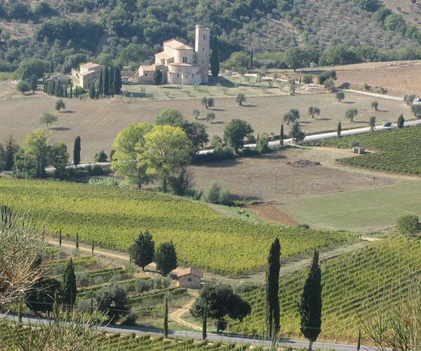 Buonconvento - Montefiascone