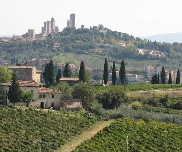 San Miniato - Buonconvento