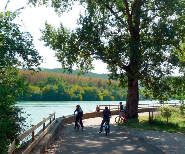 Le Rhône à Vélo : De Lyon à Montélimar