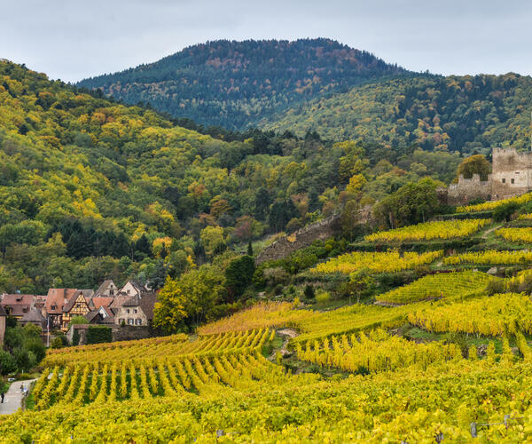 L&#039;Alsace à vélo