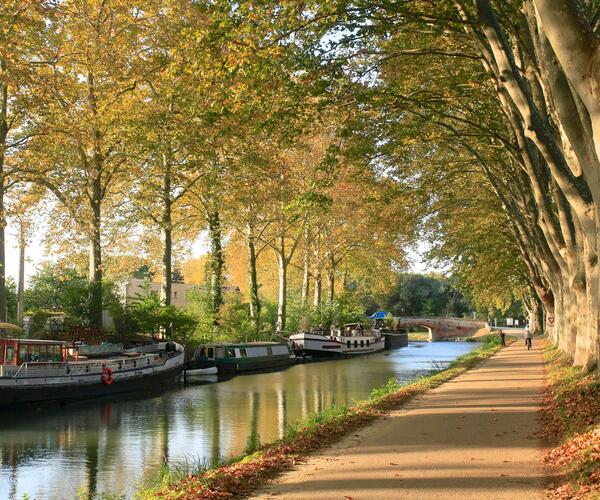 Le Canal du Midi : De Toulouse à Sète