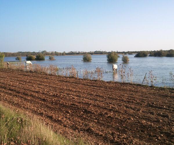 Le Canal du Midi : De Toulouse à Sète