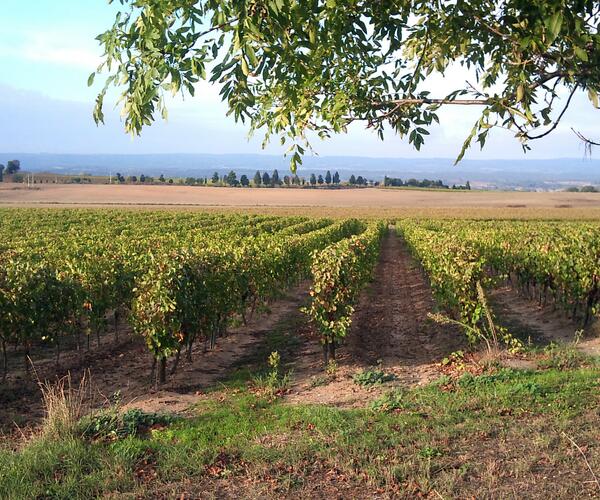 Le Canal du Midi : De Toulouse à Sète