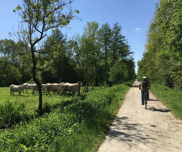 La Vélo Francette