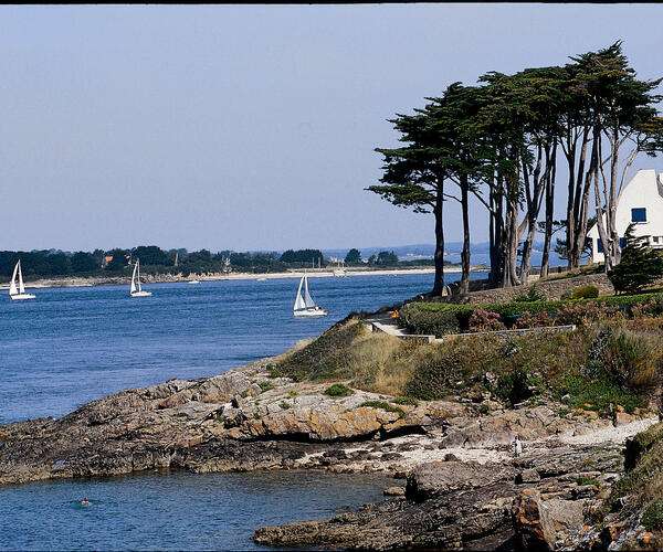 Le Tour du Golf de Morbihan à vélo