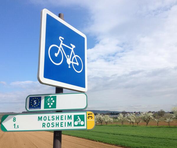 L&#039;Alsace à vélo