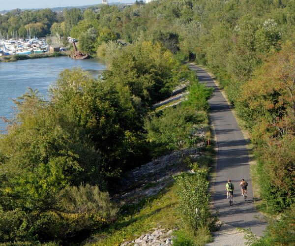 Le Rhône à Vélo : De Lyon à Montélimar