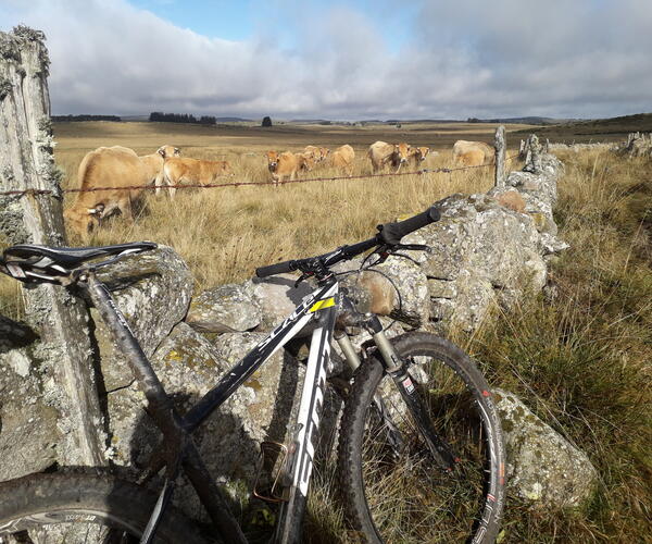 Aubrac et Margeride en VTT à Assistance Electrique