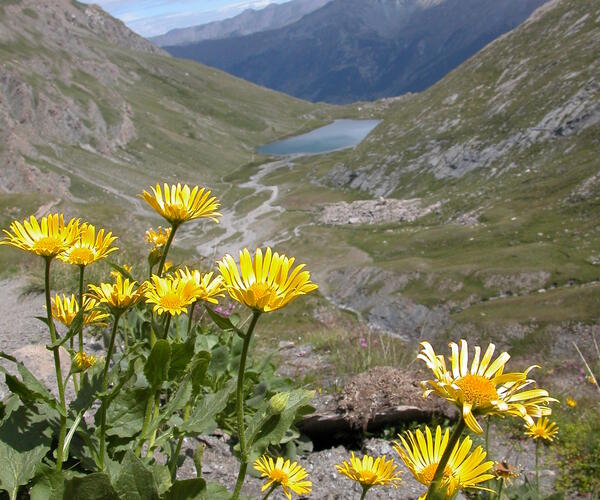 Hautes Alpes : Le Queyras