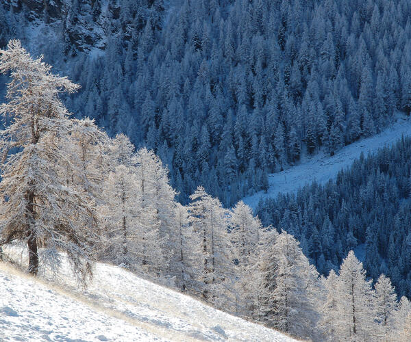 Alpes : Découverte du Queyras depuis Saint-Véran