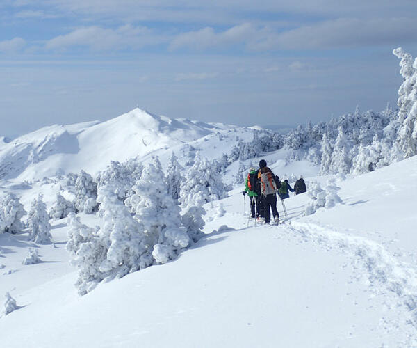 Jura : Raquettes et détente dans le Jura