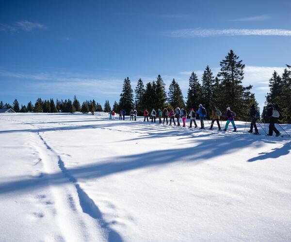 Jura : Raquettes et détente dans le Jura