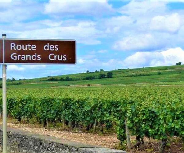 Bourgogne Grand Cru