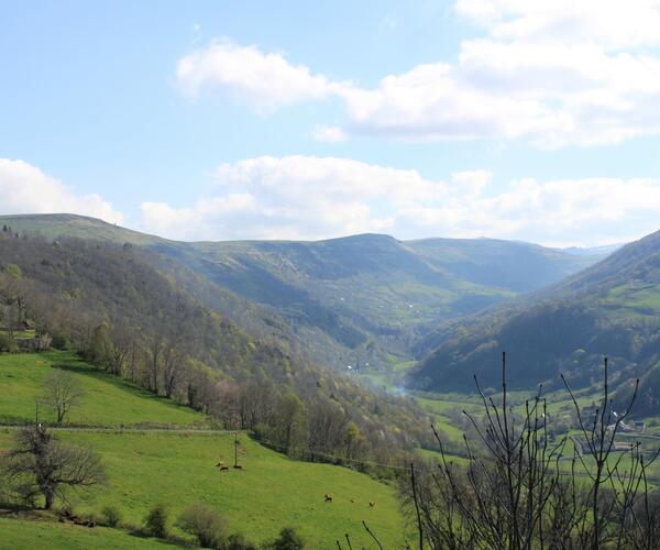 Auvergne : Découvertes et randonnées au pays de Salers