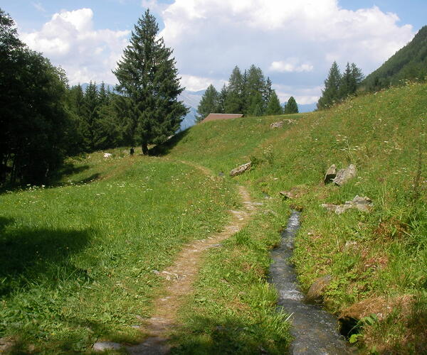 Suisse : Les Bisses du Valais