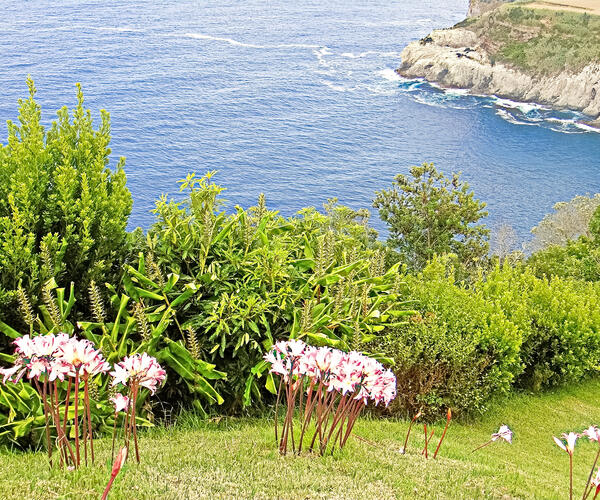 Portugal : Les Açores Sao Miguel