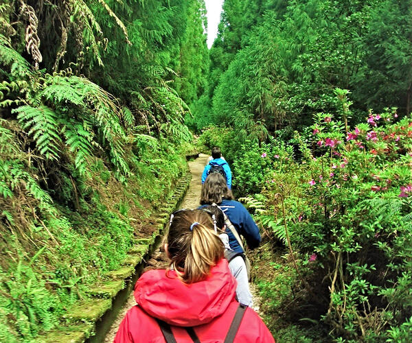 Portugal : Les Açores Sao Miguel