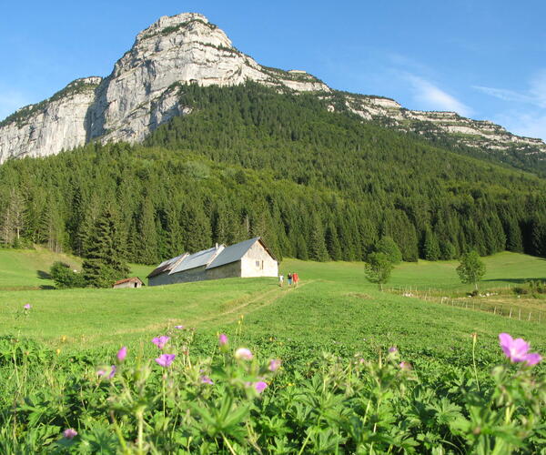 Alpes : Tour de la Chartreuse