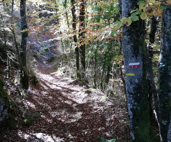 Le Tour du Larzac