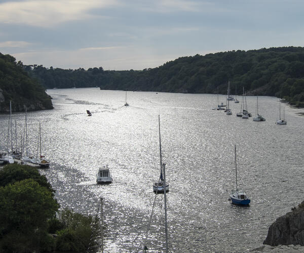 Bretagne : De Port Navalo à La Roche Bernard