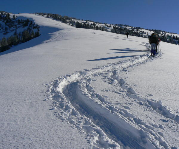 Alpes : Raquettes et balnéo dans le Parc de Chartreuse