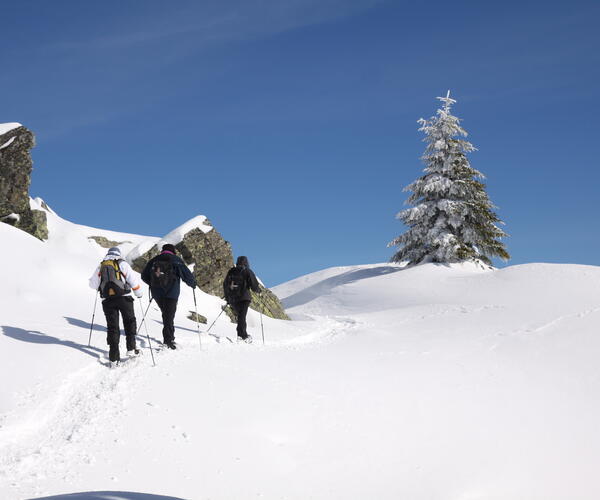 Ardèche : Les monts d&#039;Ardèche et les sources de la Loire en raquettes