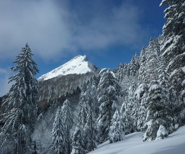 Alpes : Raquettes et balnéo dans le Parc de Chartreuse