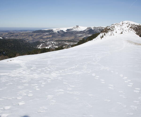 Auvergne : Le Sud du Sancy en Raquettes