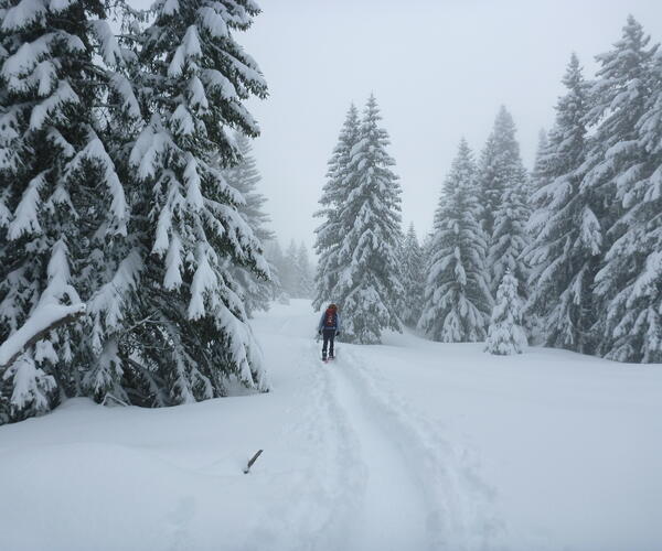 Alpes : Raquettes et balnéo dans le Parc de Chartreuse