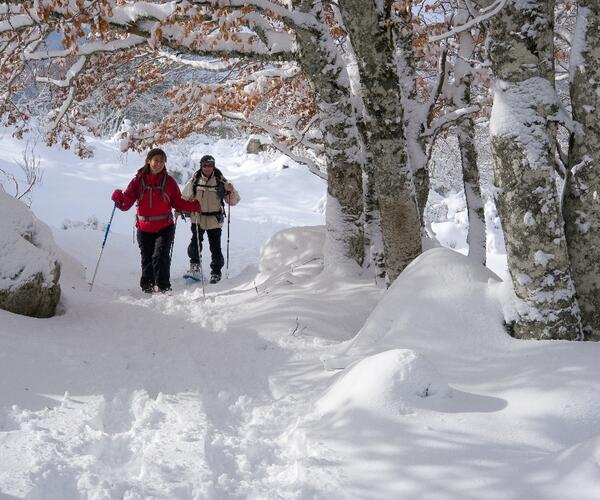 Séjour réveillon en Ardèche en raquettes