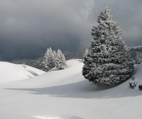 Alpes : Raquettes et balnéo dans le Parc de Chartreuse