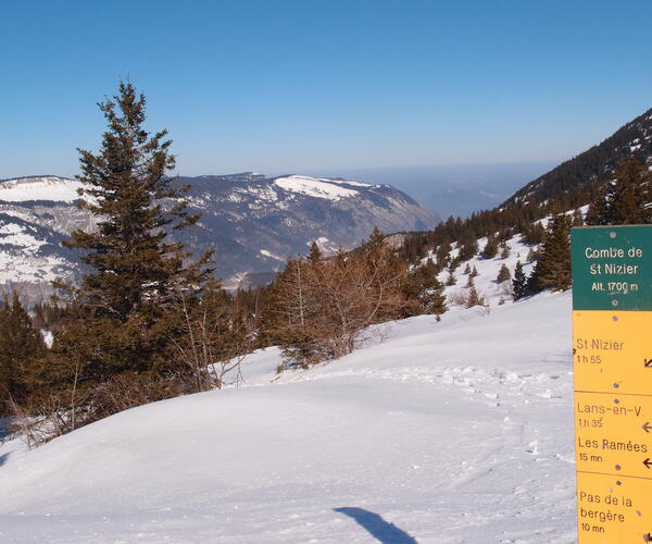 Alpes : Vercors au pays des 4 montagnes en raquettes