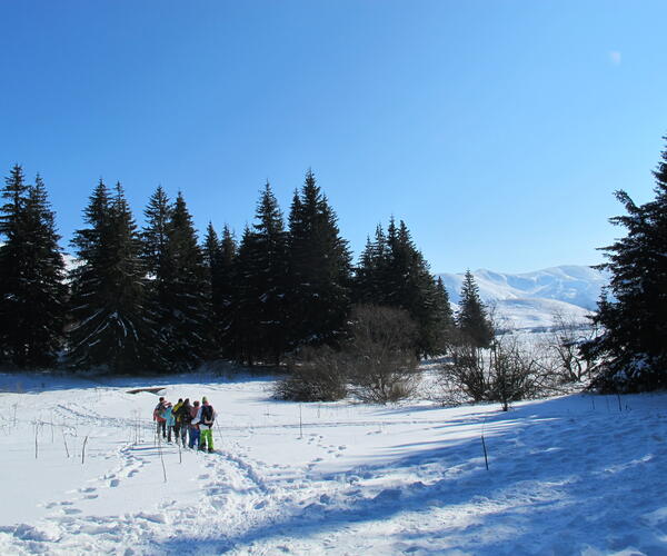 Auvergne : Le Sud du Sancy en Raquettes