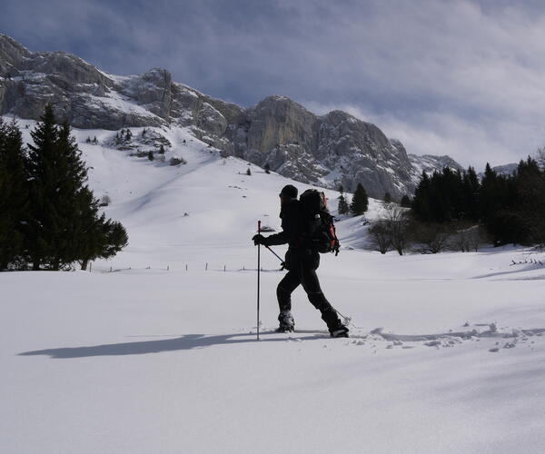 Alpes : Vercors, neiges, raquettes et bien-être