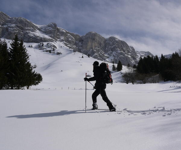 Séjour Réveillon Vercors sauvage