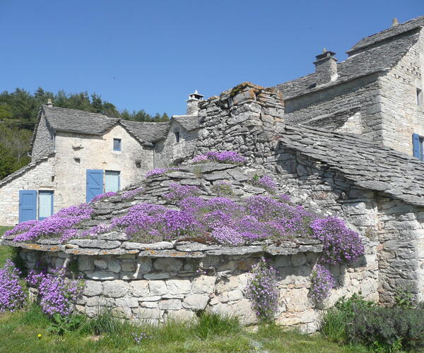 Tarn : Les Bastides Albigeoises