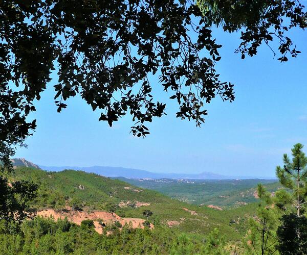 Provence : Esterel, Cannes et Saint Tropez : Les sentiers d&#039;ocre et d&#039;Azur