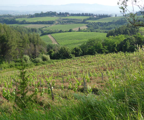 Italie : La Toscane