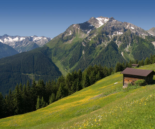 Tyrol et Château de Bavière