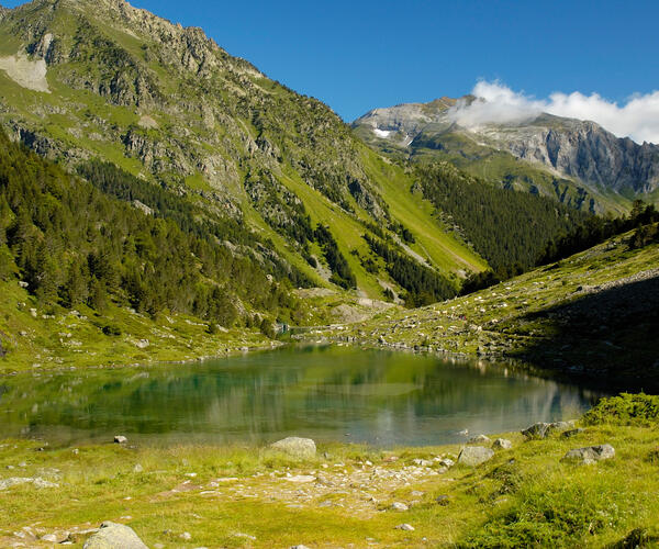 Chemin des Bonshommes