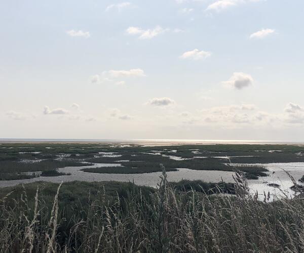 Normandie - Cotentin : Val de Saire