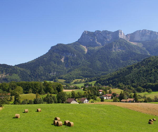 Vercors : Randonnée saveurs et senteurs