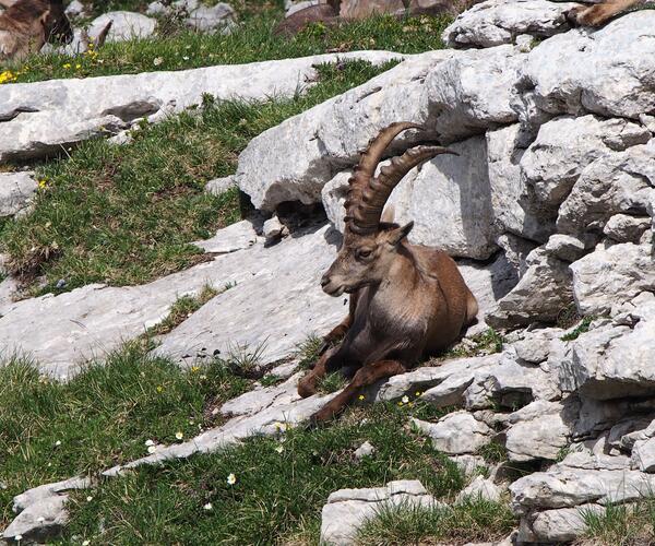 Vercors : La Perle des Pré-Alpes