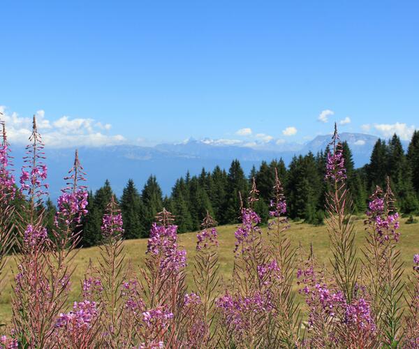 Vercors : La Perle des Pré-Alpes