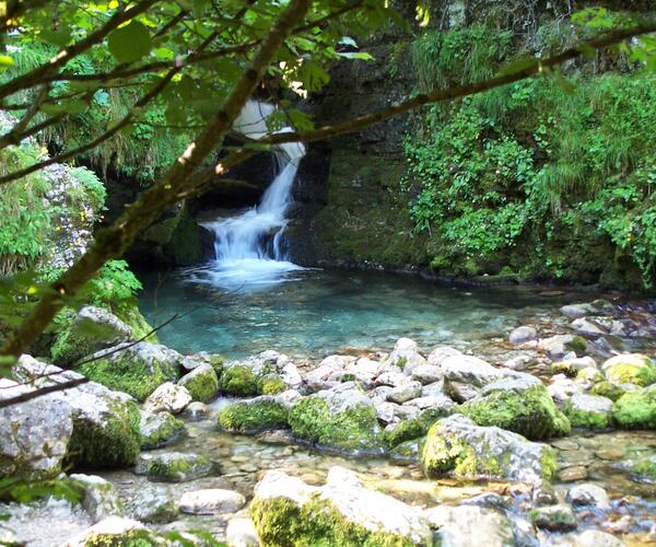 Vercors : La Perle des Pré-Alpes