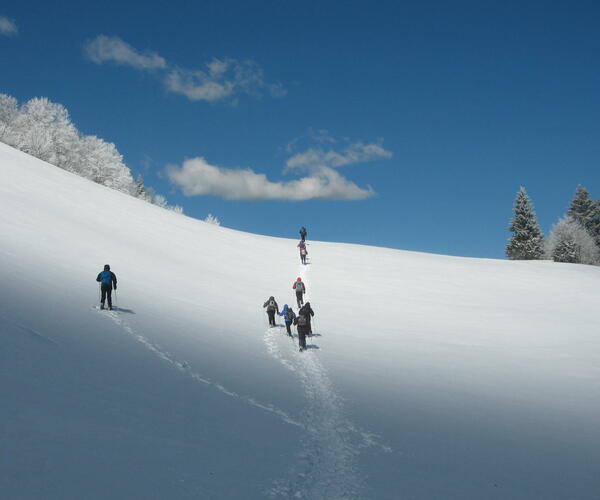 Alpes : Vercors, les essentiels du tour en raquettes