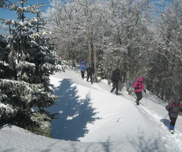 Alpes : Vercors, 1 jour, 1 village en raquettes