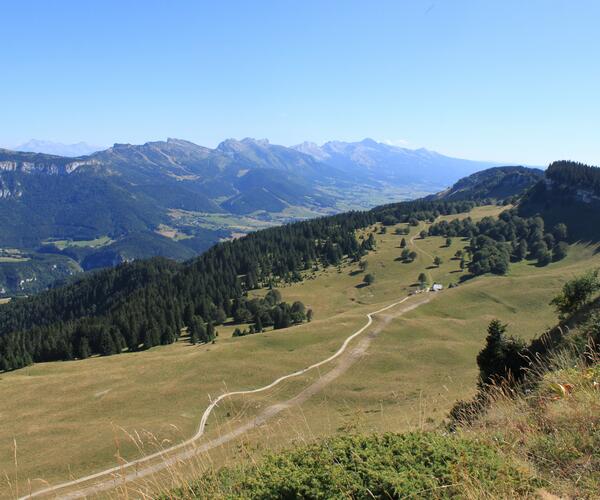 Vercors : Randonnée saveurs et senteurs