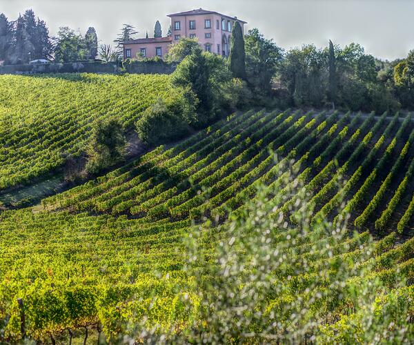 Italie : Lumières de Toscane, de Florence à Sienne