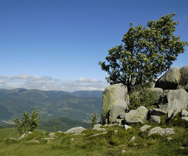 Vosges - Alsace : Traversée des Hautes-Vosges